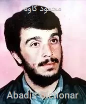 محمود کاوه